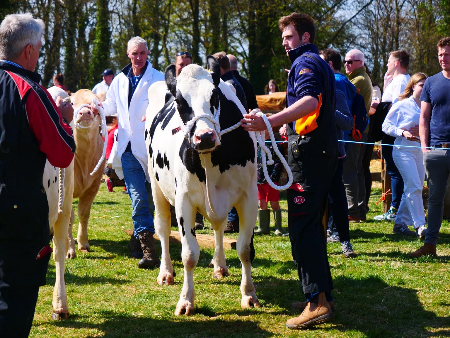 Beith Farmers Society