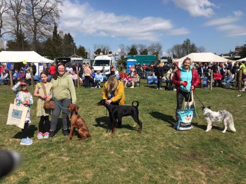 2022 Dog Show Winners