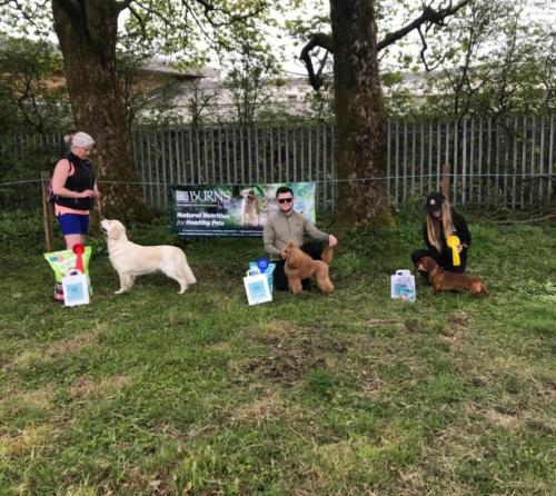 Dog Show-10