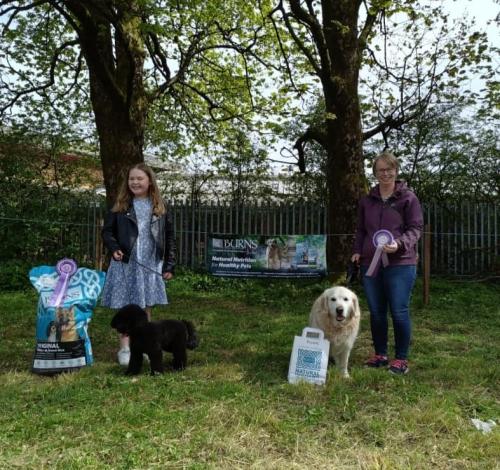 Dog Show-2