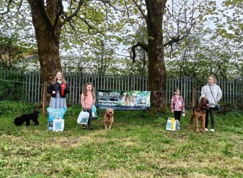 Dog Show-3