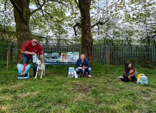Dog Show-4