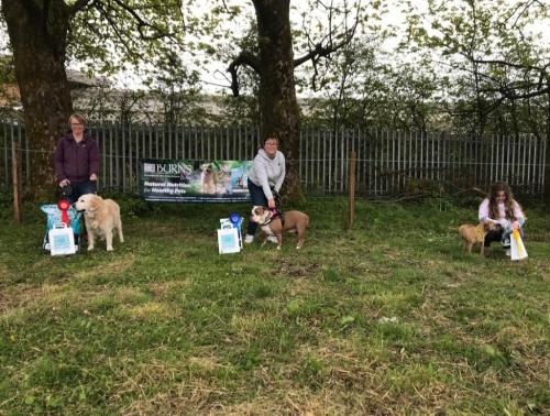 Dog Show-6