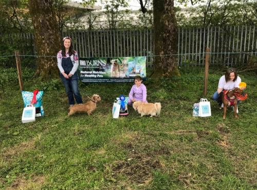 Dog Show-9